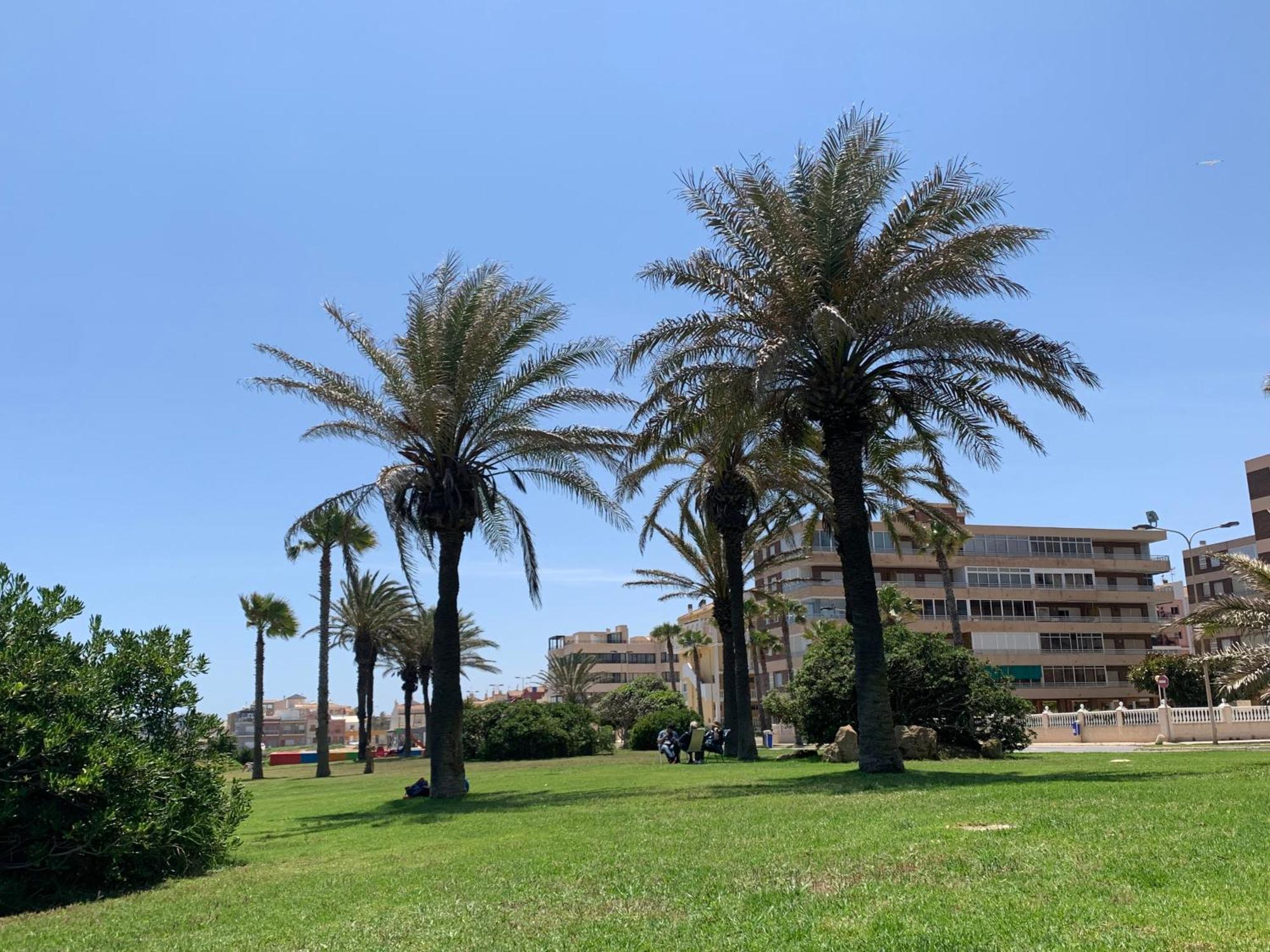 Apartment With Side Seaview 60 Meters From Sea Torrevieja Exteriér fotografie